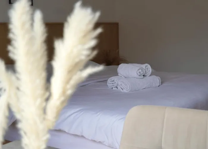 Apartament Center 1,